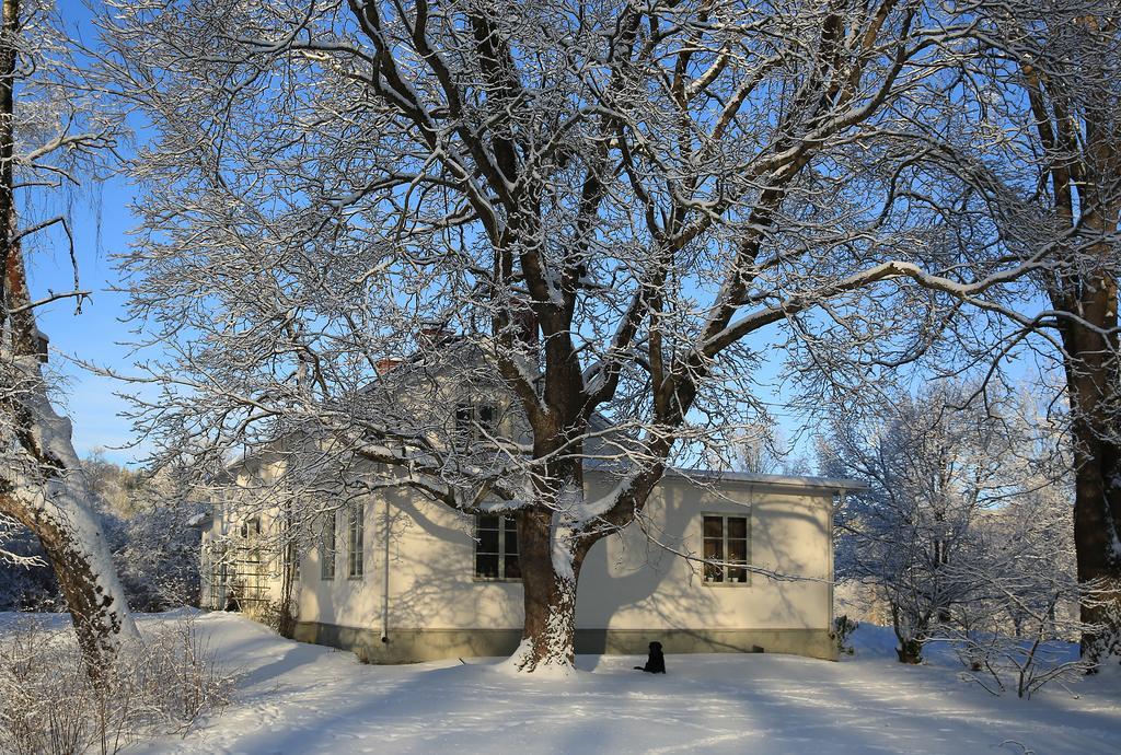 Olsbacka Gard Bed and Breakfast Falun Eksteriør billede